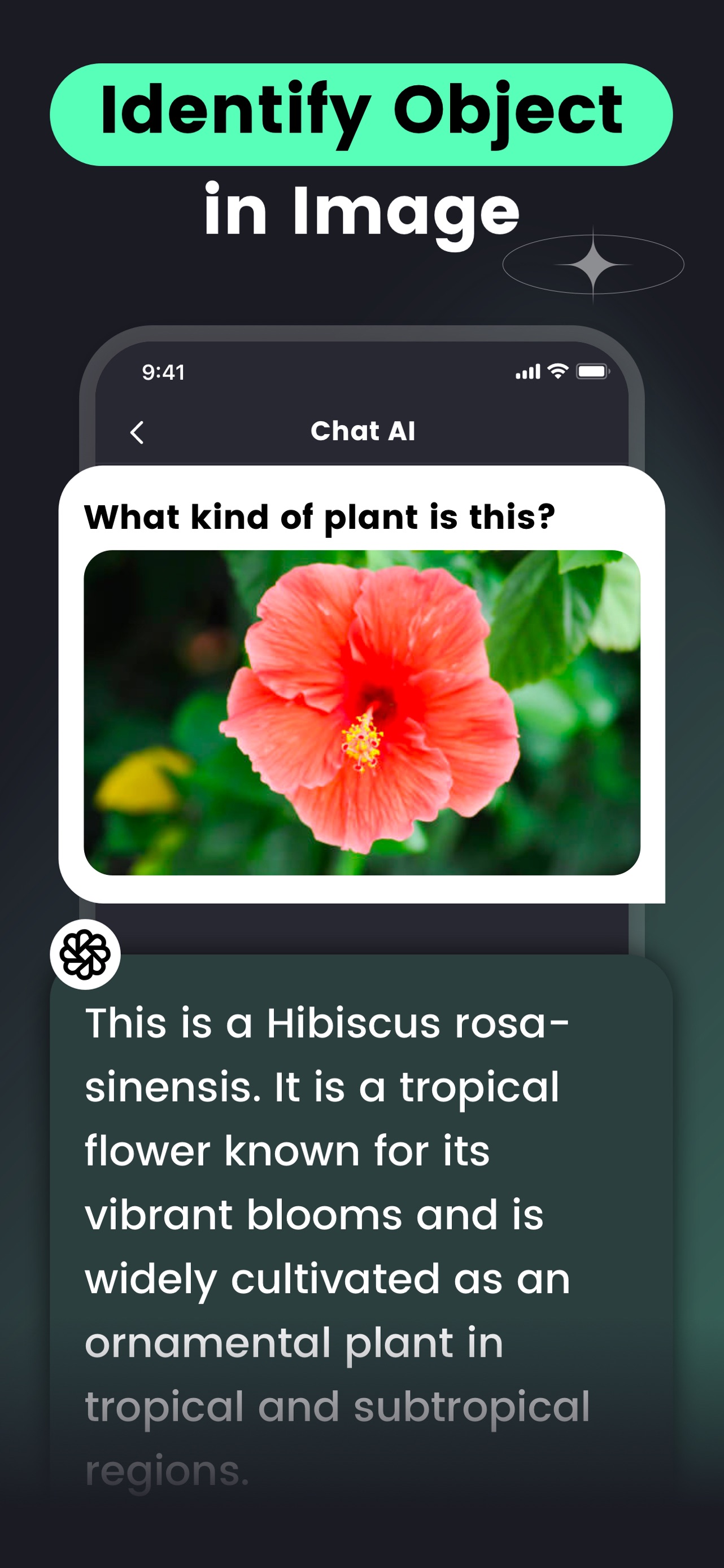 AI Chat -Ask Chatbot Assistant screenshot