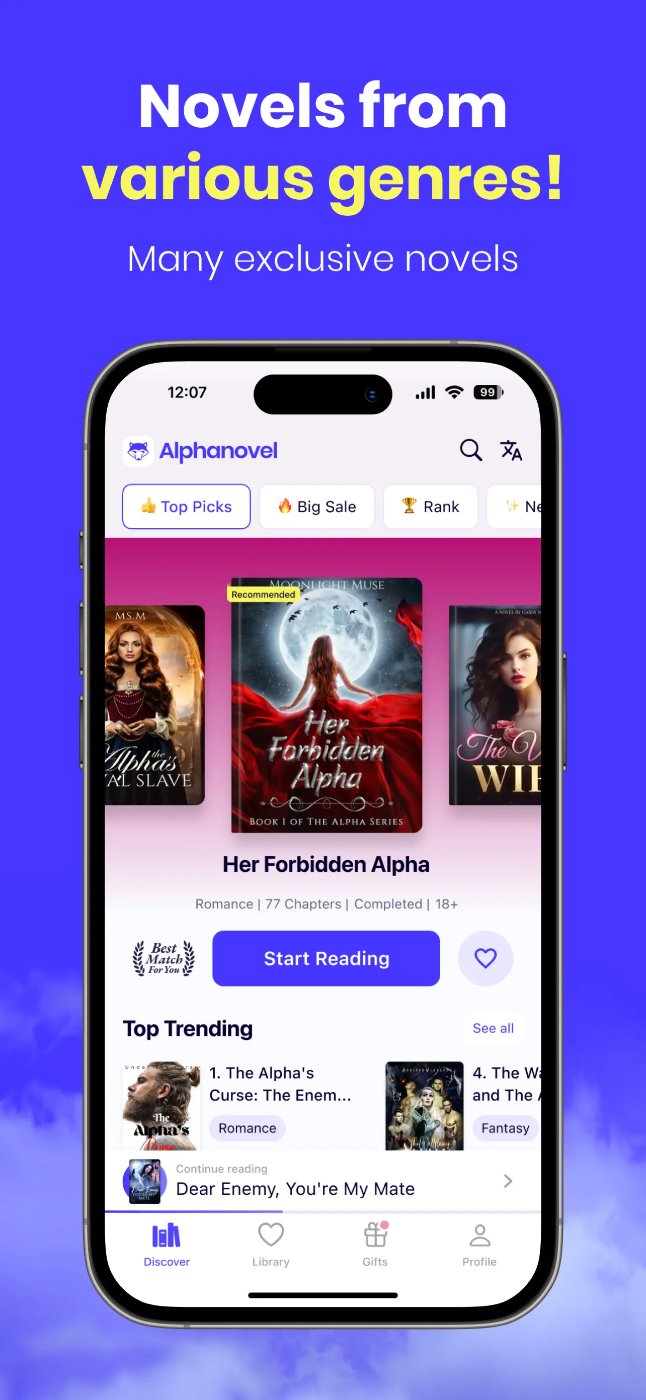 AlphaNovel - Novels & Stories screenshot