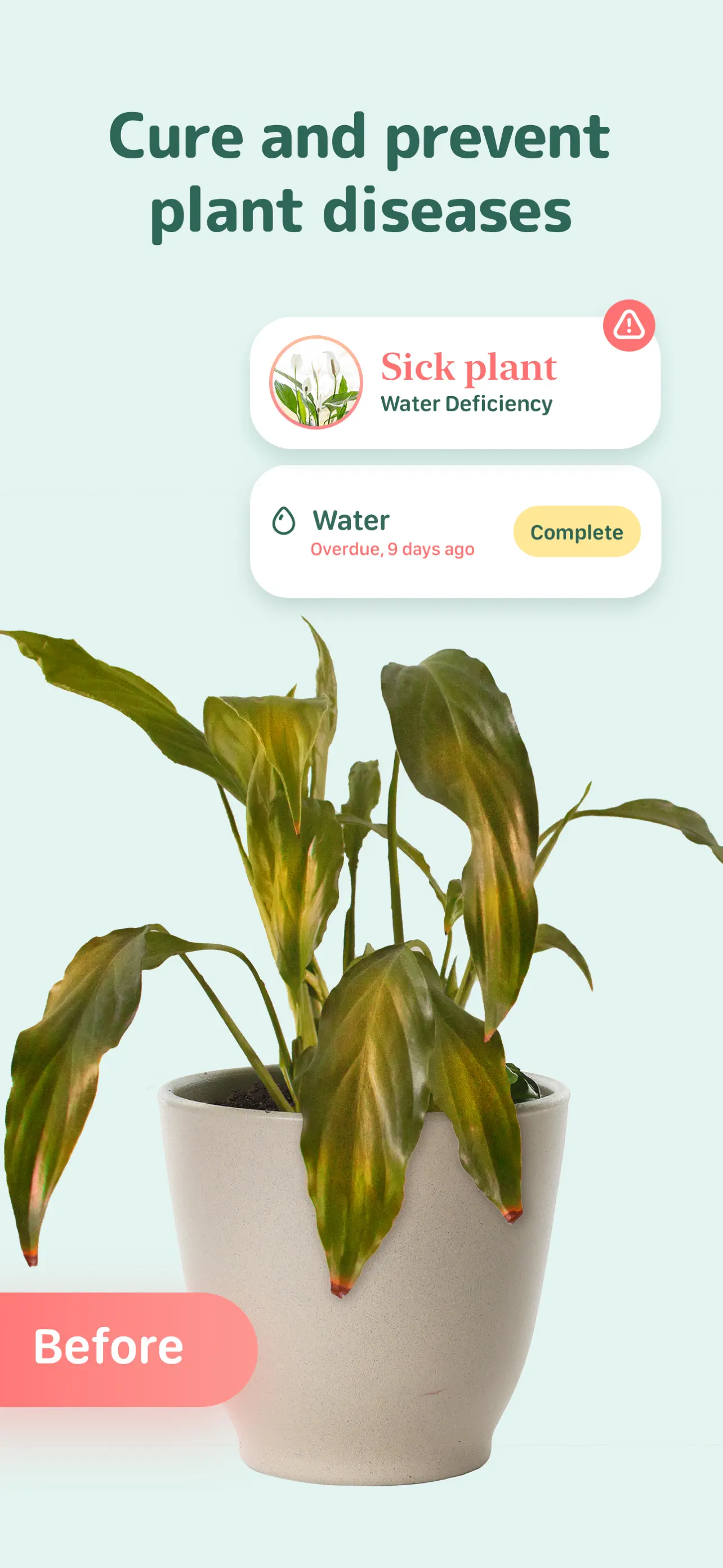 Blossom - Plant Care Guide screenshot