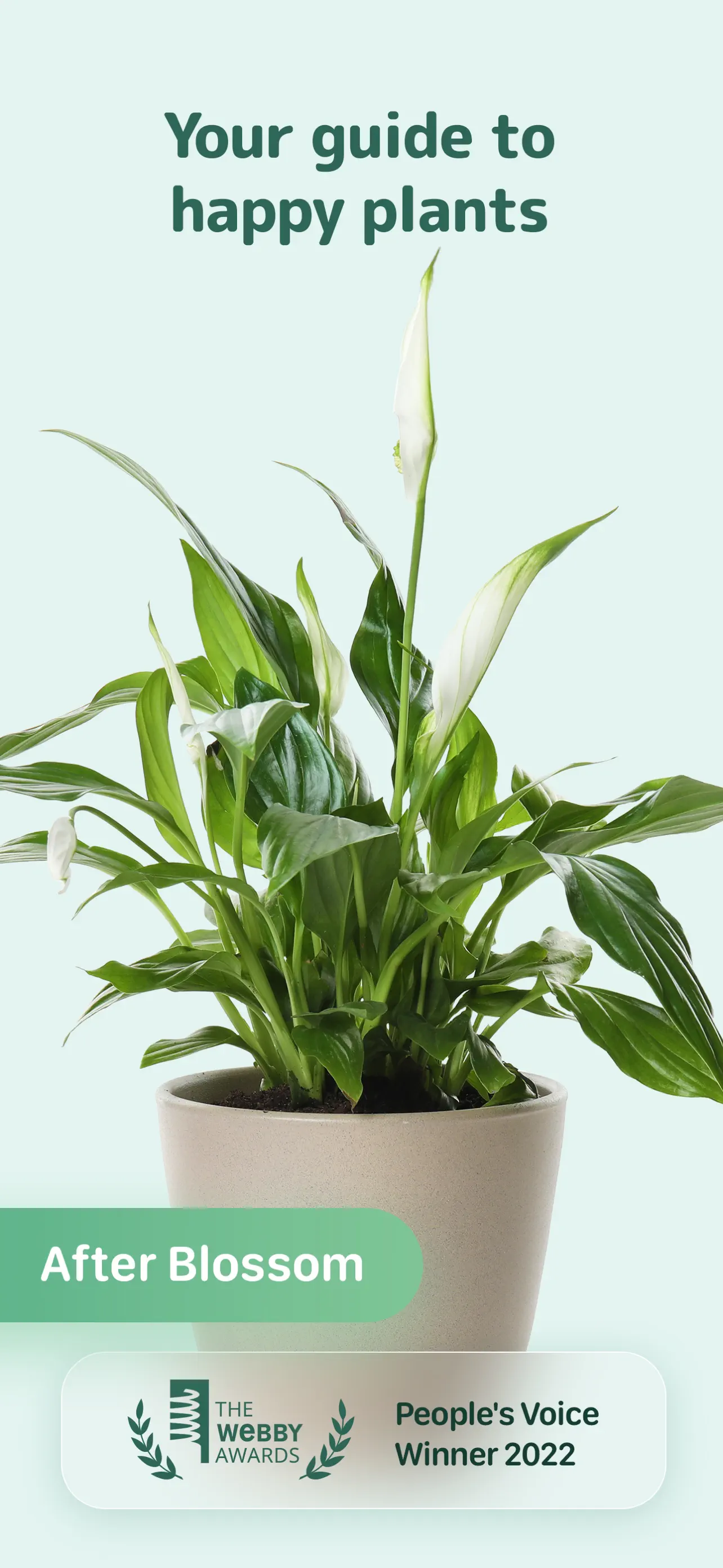Blossom - Plant Care Guide screenshot 2