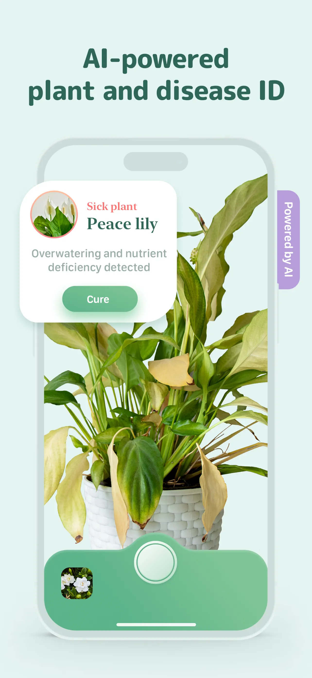 Blossom - Plant Care Guide screenshot 5