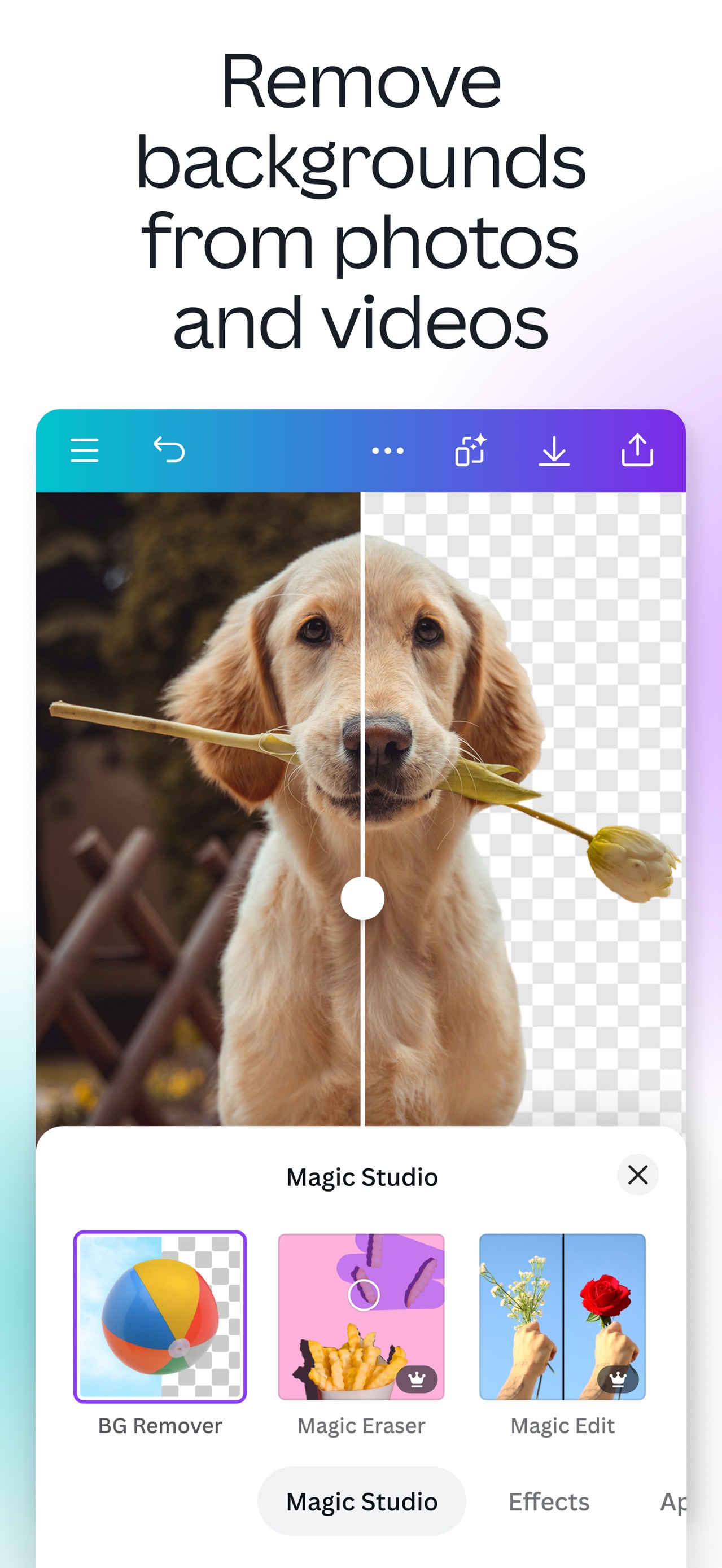 Canva: AI Video & Photo Editor screenshot 8