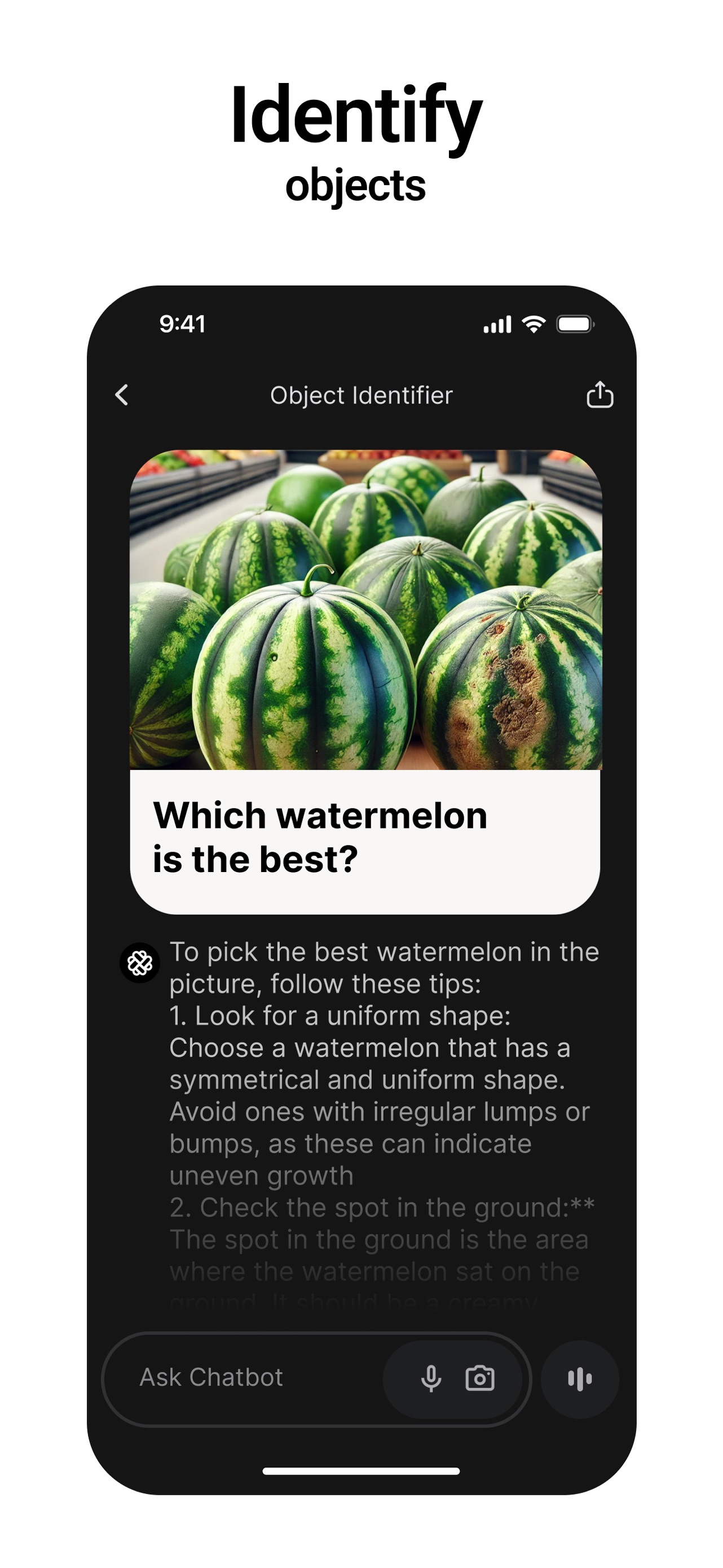 Chatbot App: AI Assistant screenshot 6