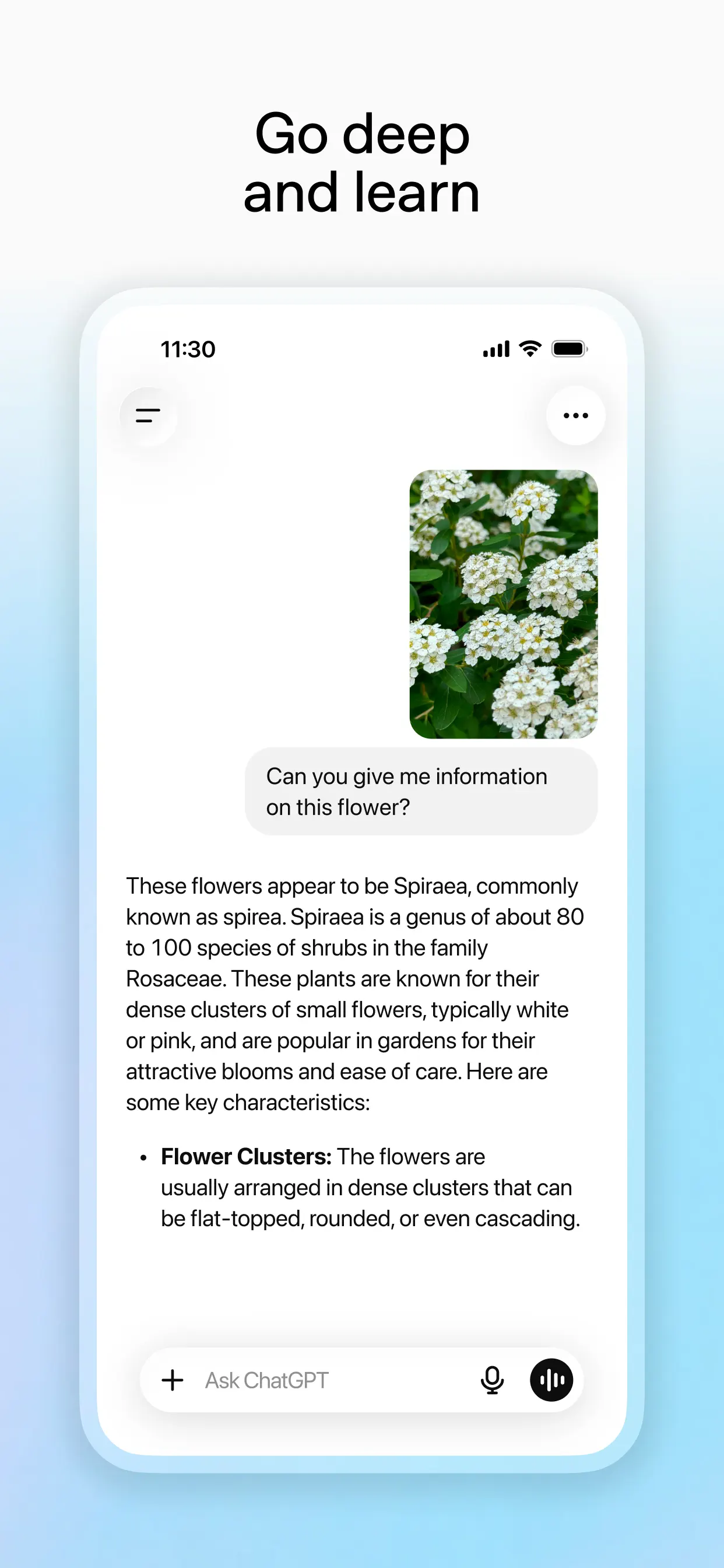 ChatGPT screenshot 6