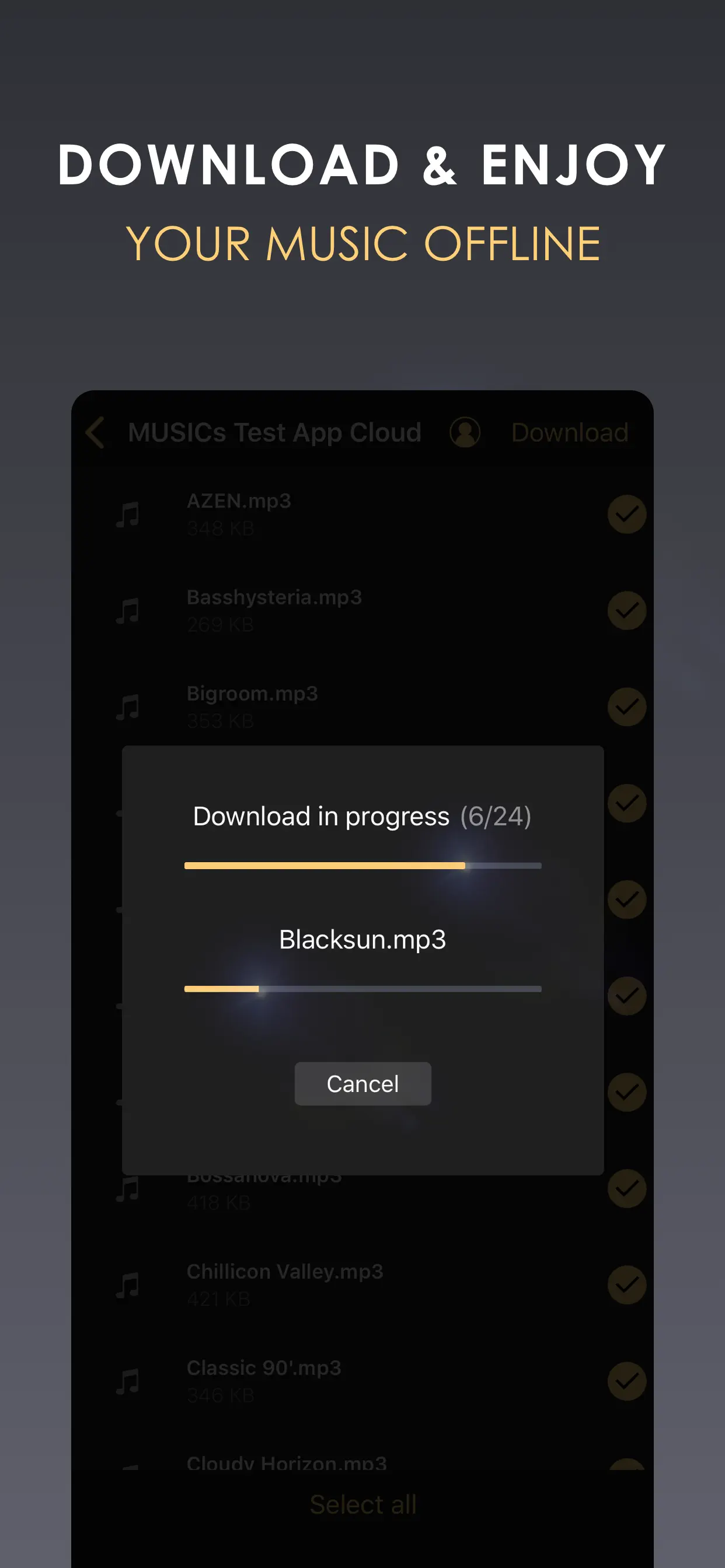 Equalizer+ HD music player screenshot 6