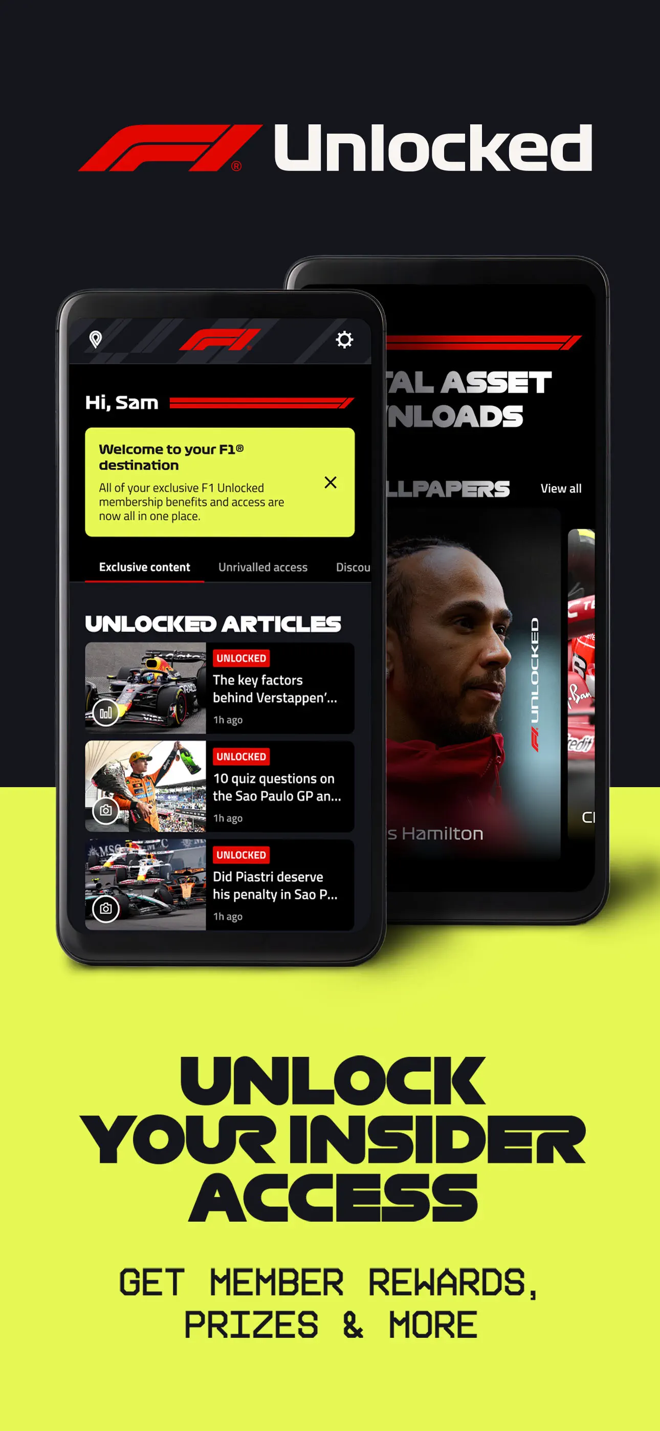 Formula 1® screenshot 8