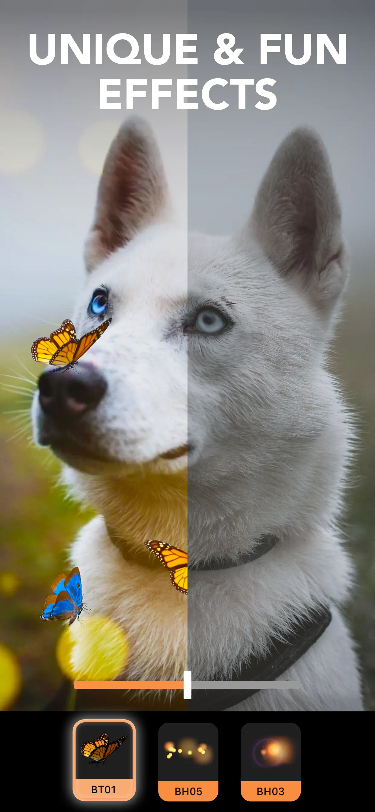 Motionleap: 3D Photo Animator screenshot 6