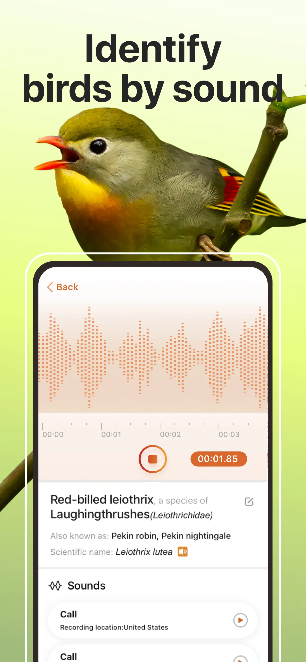 Picture Bird: Bird identifier screenshot 4