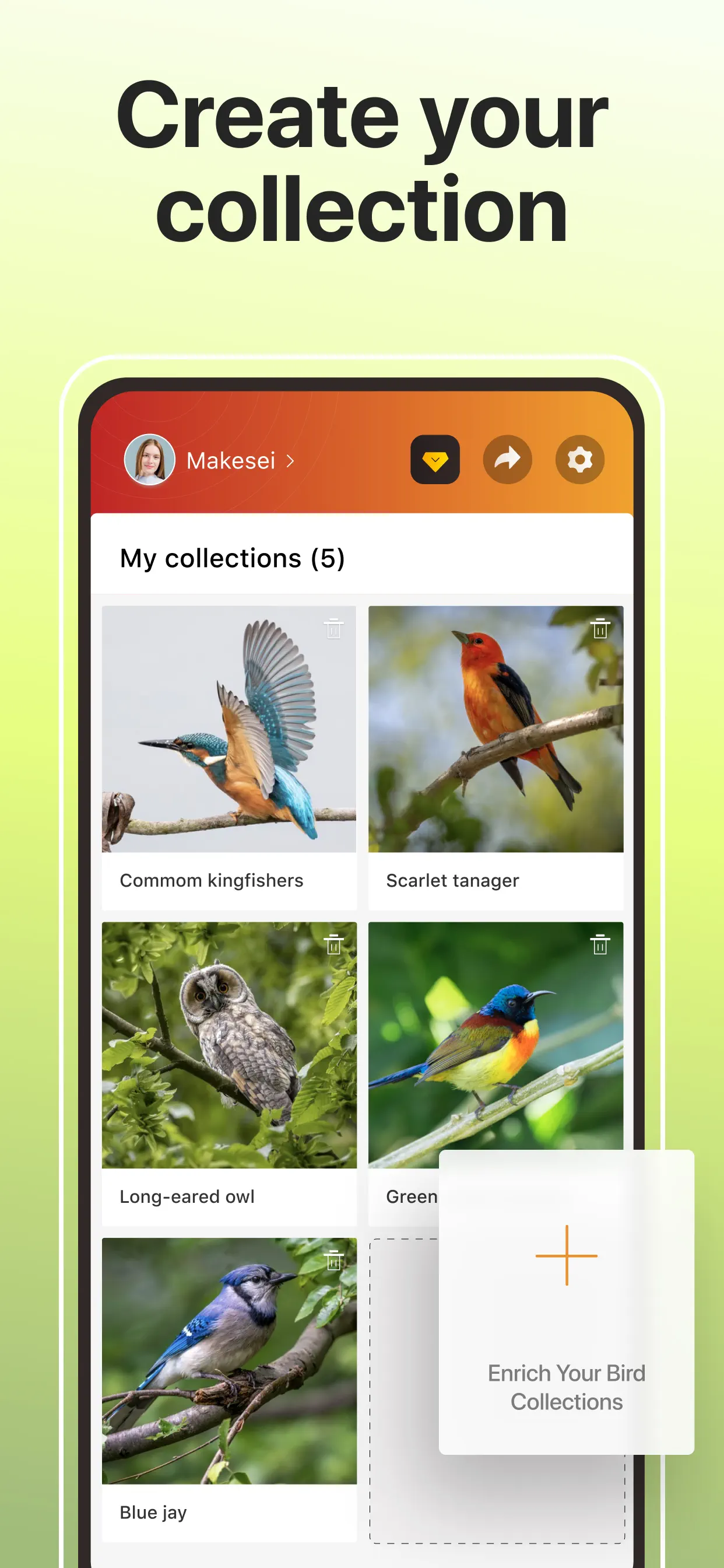 Picture Bird: Bird identifier screenshot 6