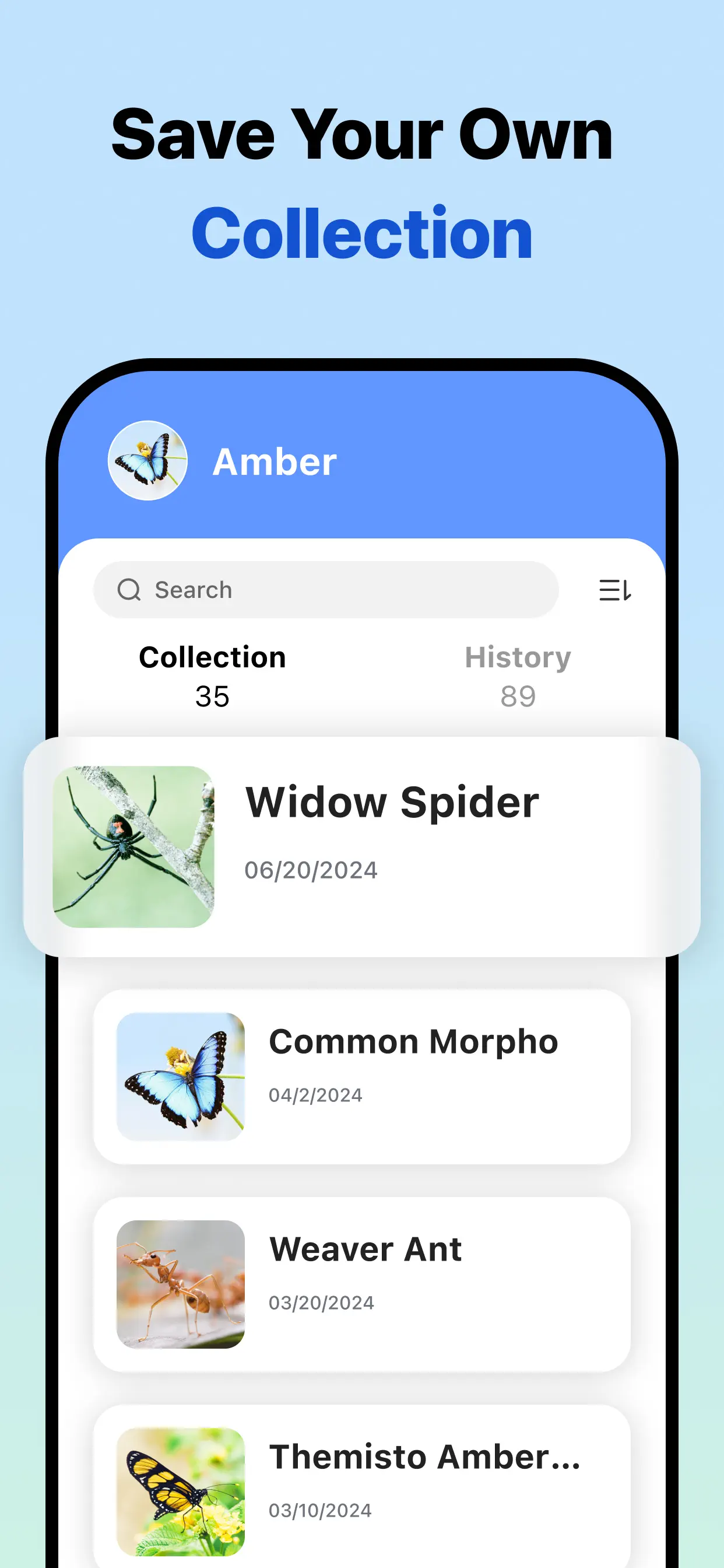 Picture Insect: Bug Identifier screenshot 6