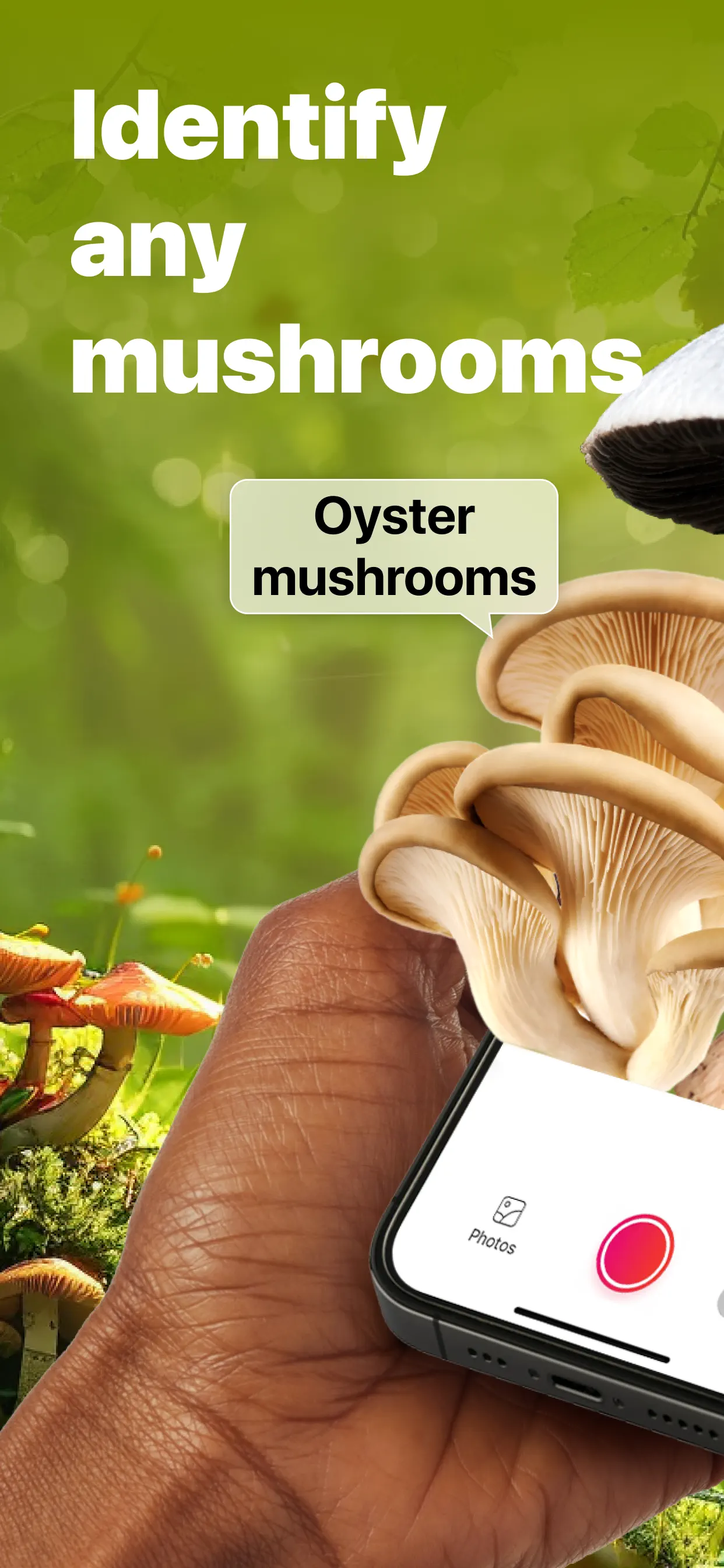 Picture Mushroom: Identifier screenshot