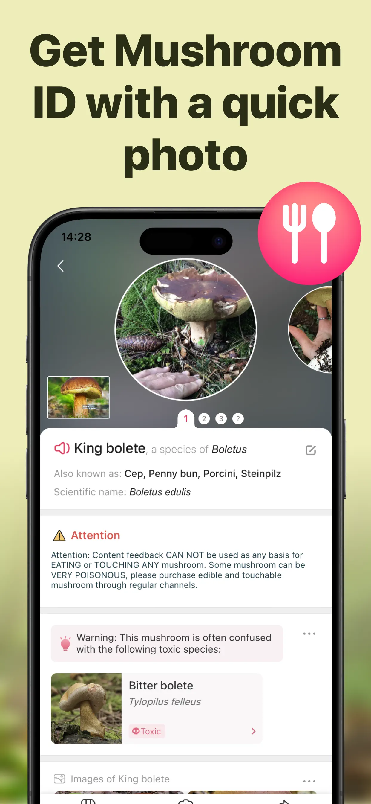 Picture Mushroom: Identifier screenshot 3