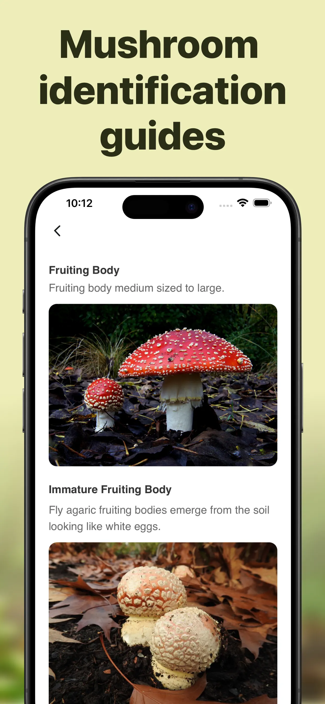 Picture Mushroom: Identifier screenshot 5