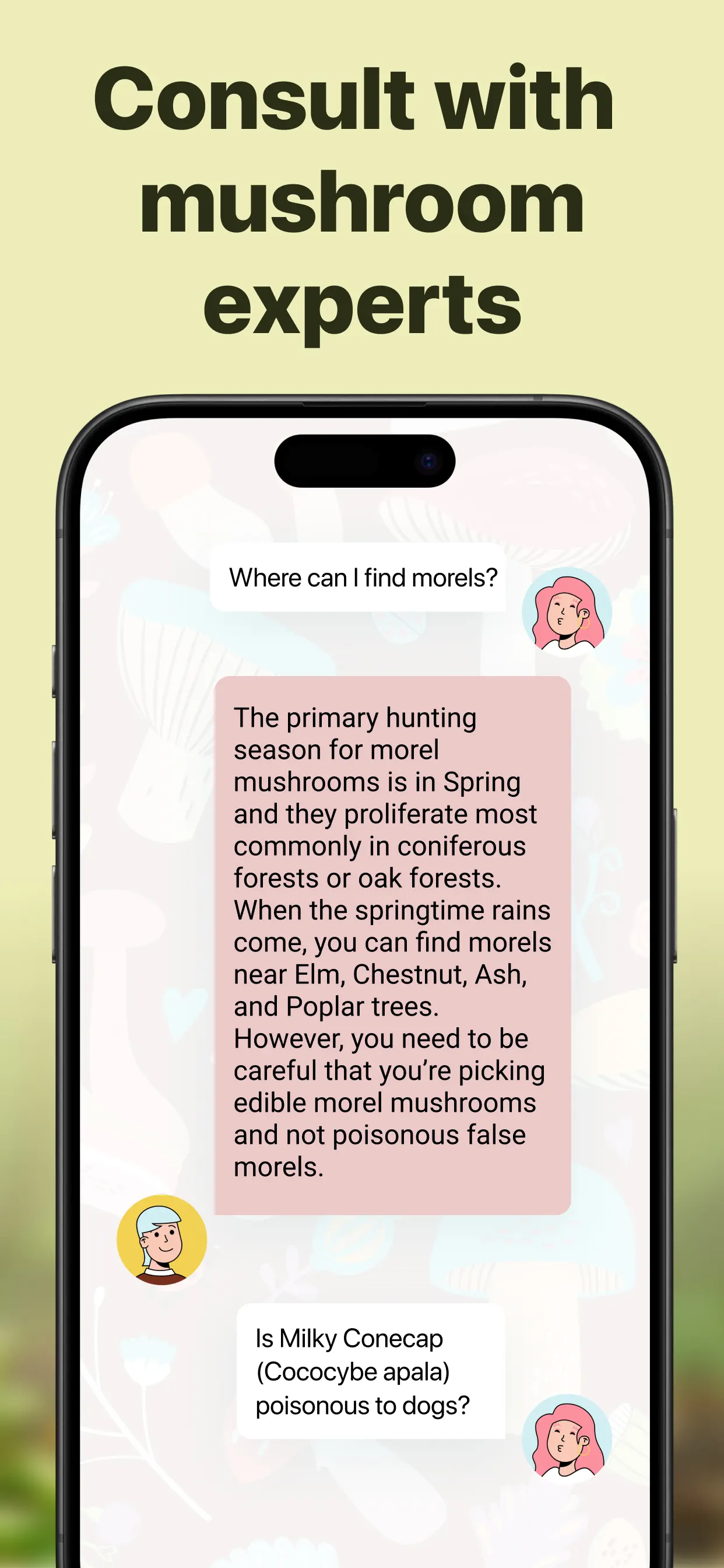 Picture Mushroom: Identifier screenshot 6