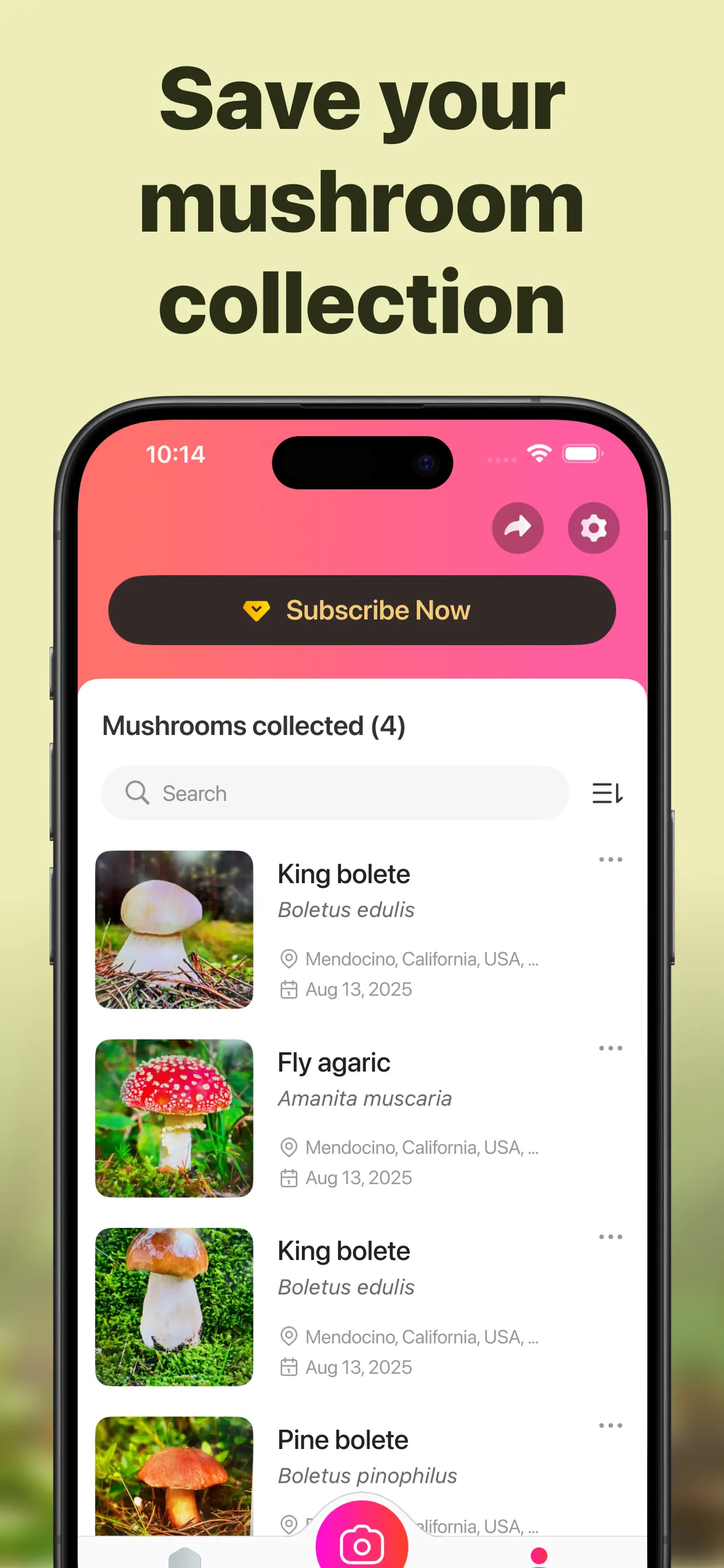 Picture Mushroom: Identifier screenshot 7