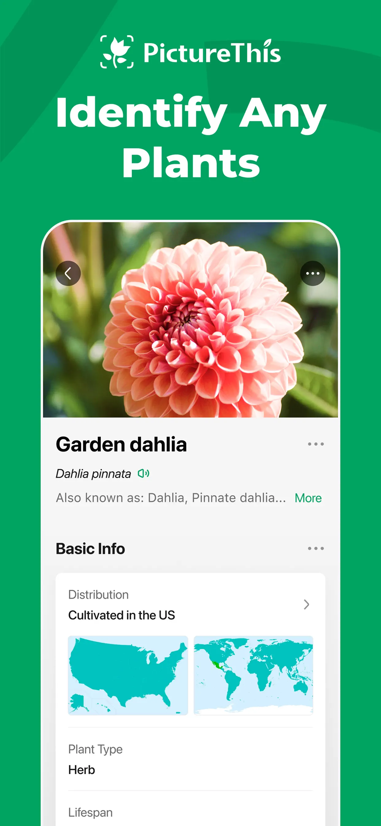 PictureThis - Plant Identifier screenshot