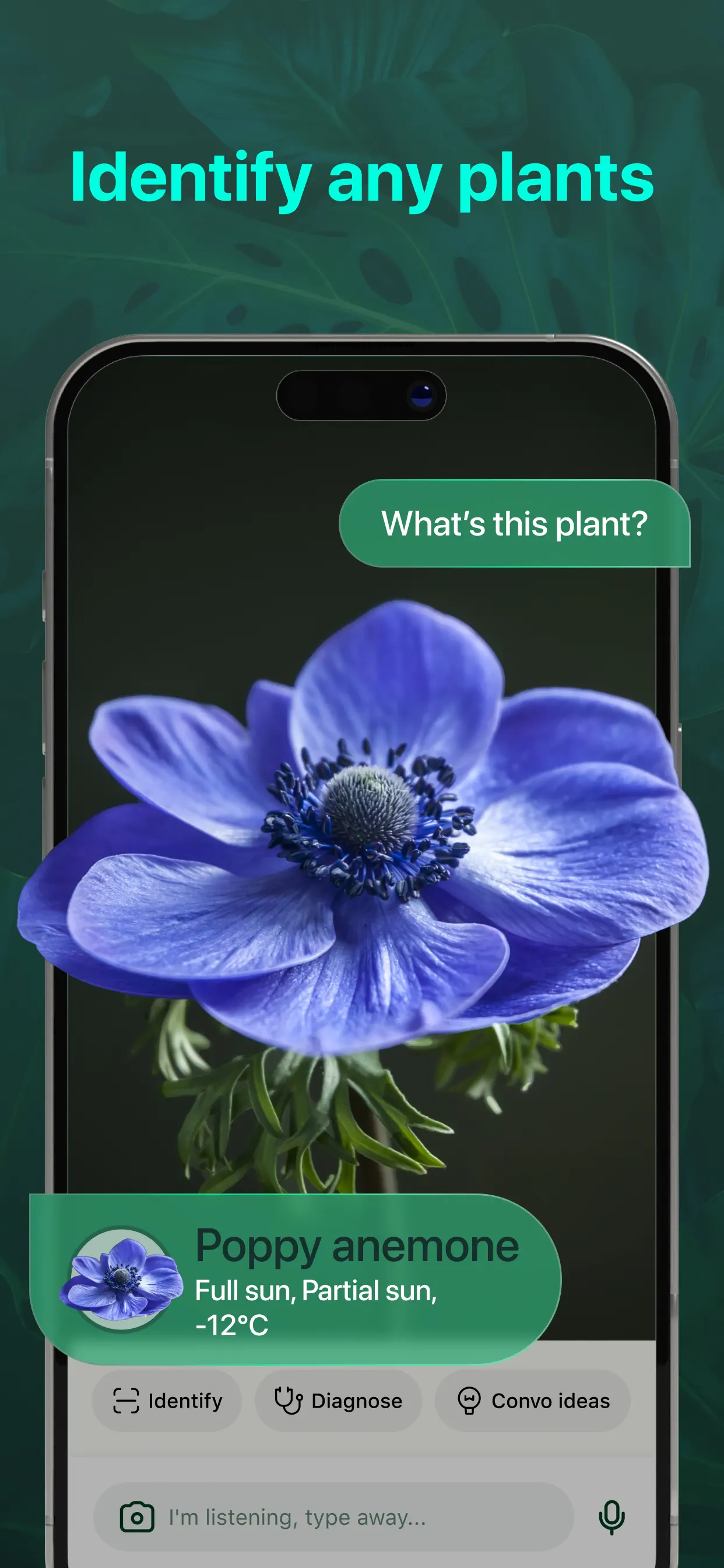 PlantAI: Identifier & Diagnose screenshot 3