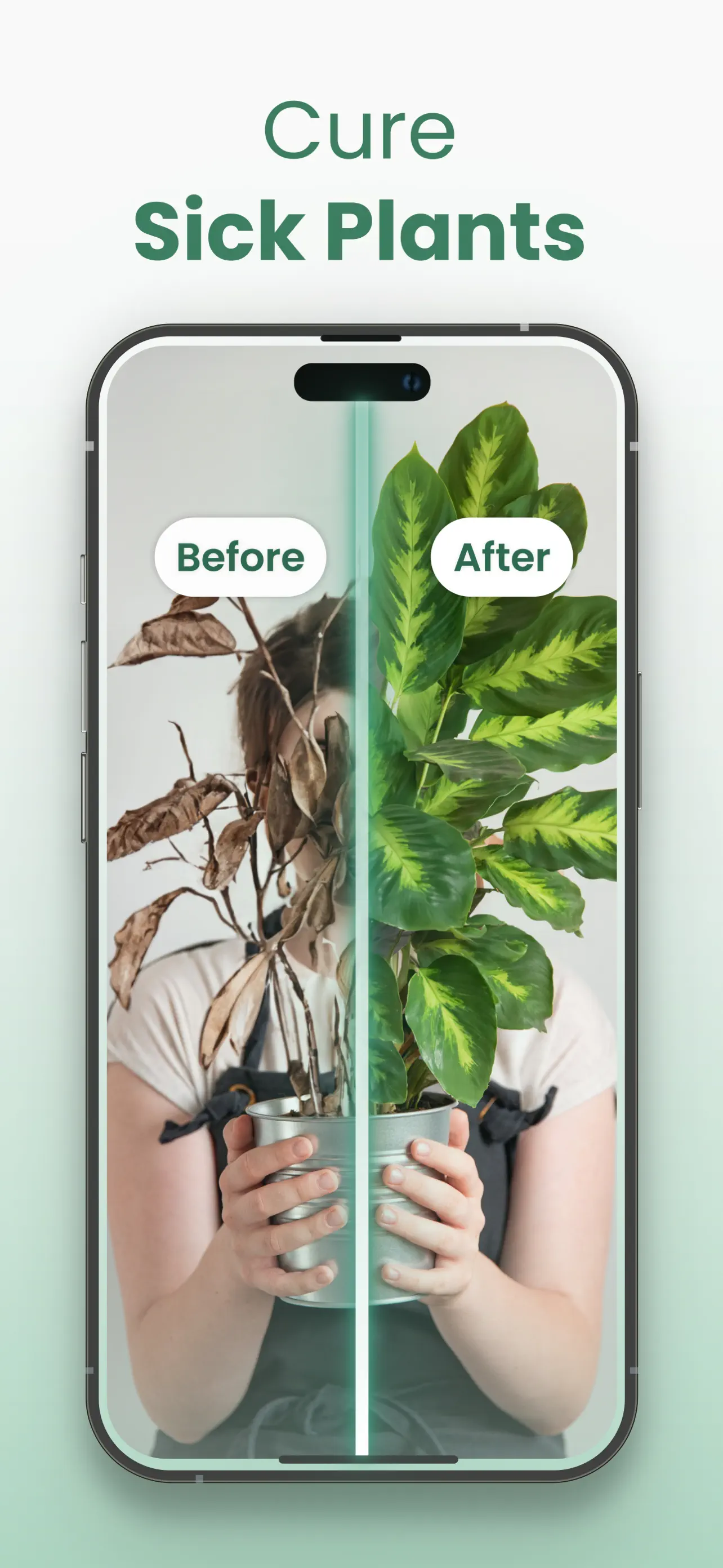 Plantify: AI Plant Identifier screenshot 3