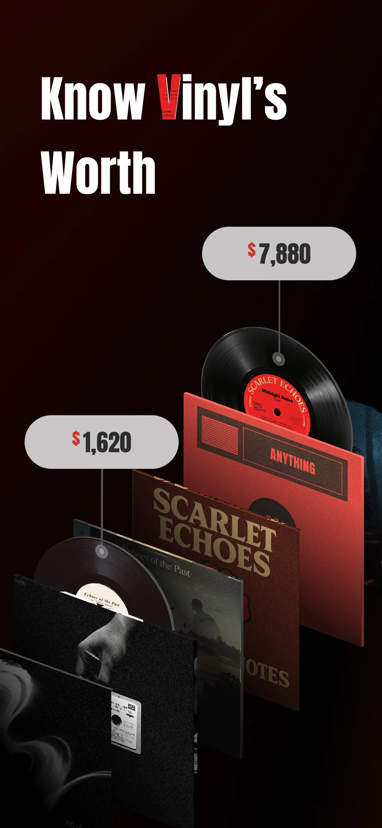 VinylSnap: Scan & Value Record screenshot